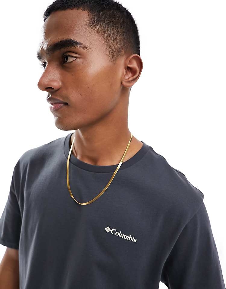 https://images.asos-media.com/products/columbia-north-cascades-back-print-t-shirt-in-black/205503388-4?$n_750w$&wid=750&fit=constrain